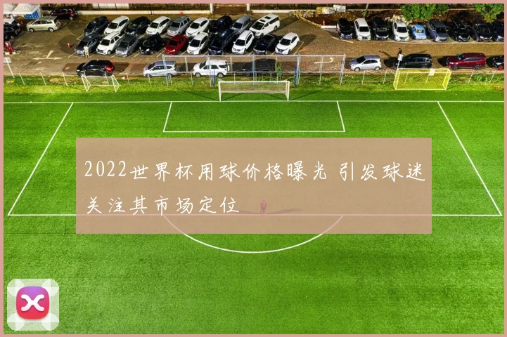 2022世界杯用球价格曝光 引发球迷关注其市场定位