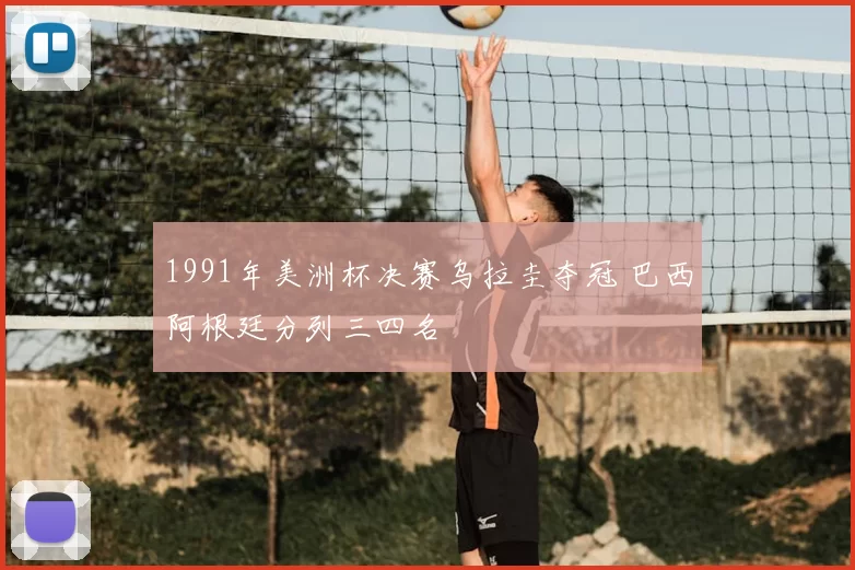 1991年美洲杯决赛乌拉圭夺冠 巴西阿根廷分列三四名