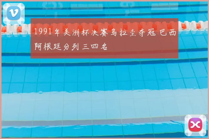 1991年美洲杯决赛乌拉圭夺冠 巴西阿根廷分列三四名